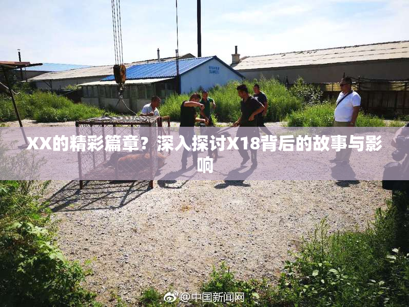 XX的精彩篇章？深入探讨X18背后的故事与影响