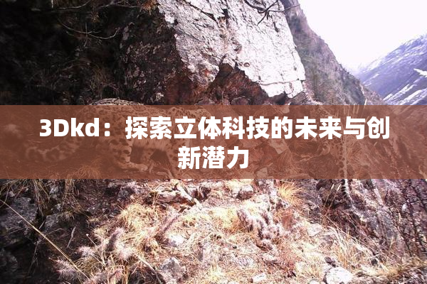 3Dkd：探索立体科技的未来与创新潜力