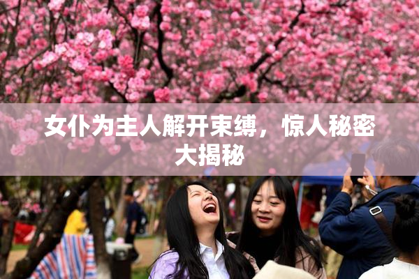 女仆为主人解开束缚，惊人秘密大揭秘
