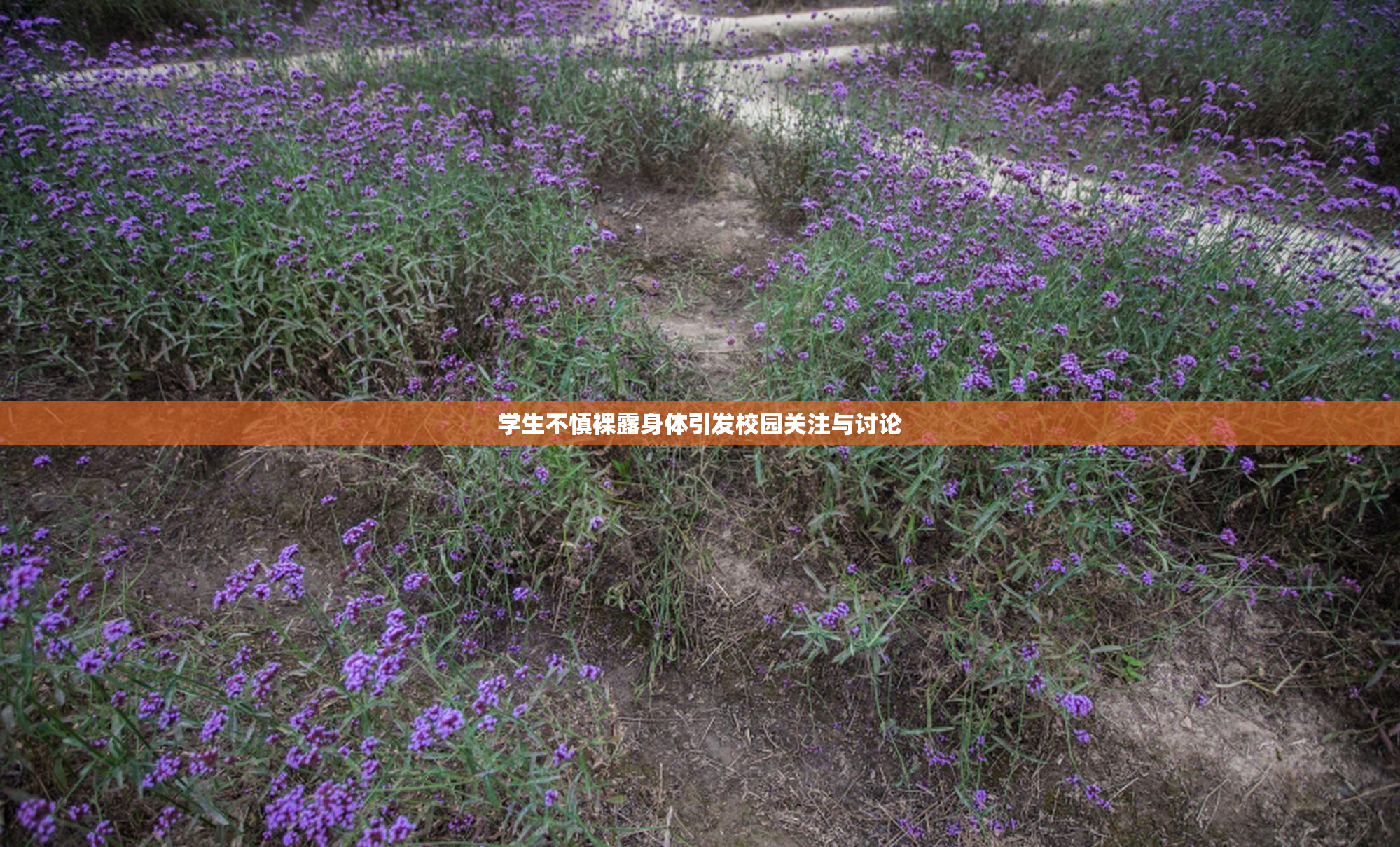 学生不慎裸露身体引发校园关注与讨论