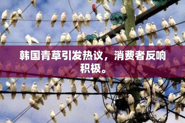 韩国青草引发热议，消费者反响积极。