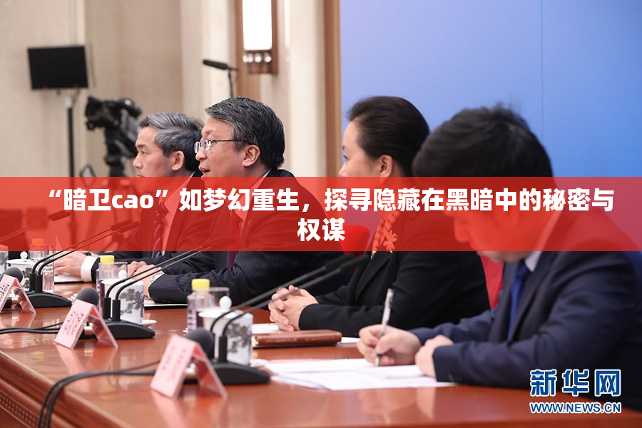 “暗卫cao”如梦幻重生，探寻隐藏在黑暗中的秘密与权谋