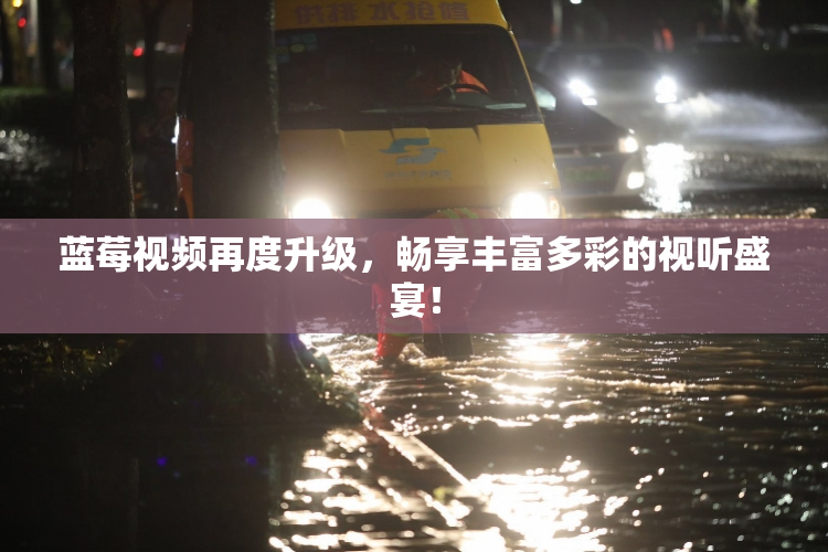 蓝莓视频再度升级，畅享丰富多彩的视听盛宴！