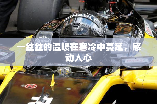 一丝丝的温暖在寒冷中蔓延，感动人心