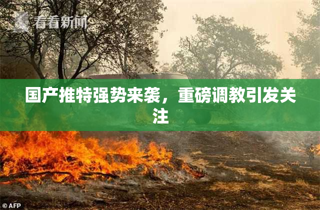 国产推特强势来袭，重磅调教引发关注