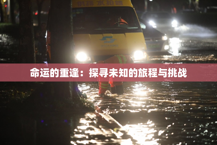 命运的重逢：探寻未知的旅程与挑战
