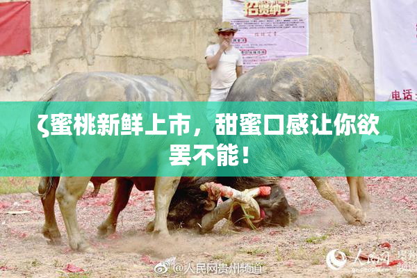 ζ蜜桃新鲜上市，甜蜜口感让你欲罢不能！