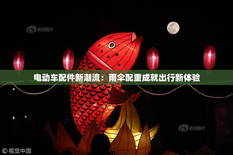 电动车配件新潮流：雨伞配重成就出行新体验