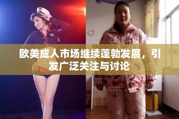 欧美成人市场继续蓬勃发展，引发广泛关注与讨论