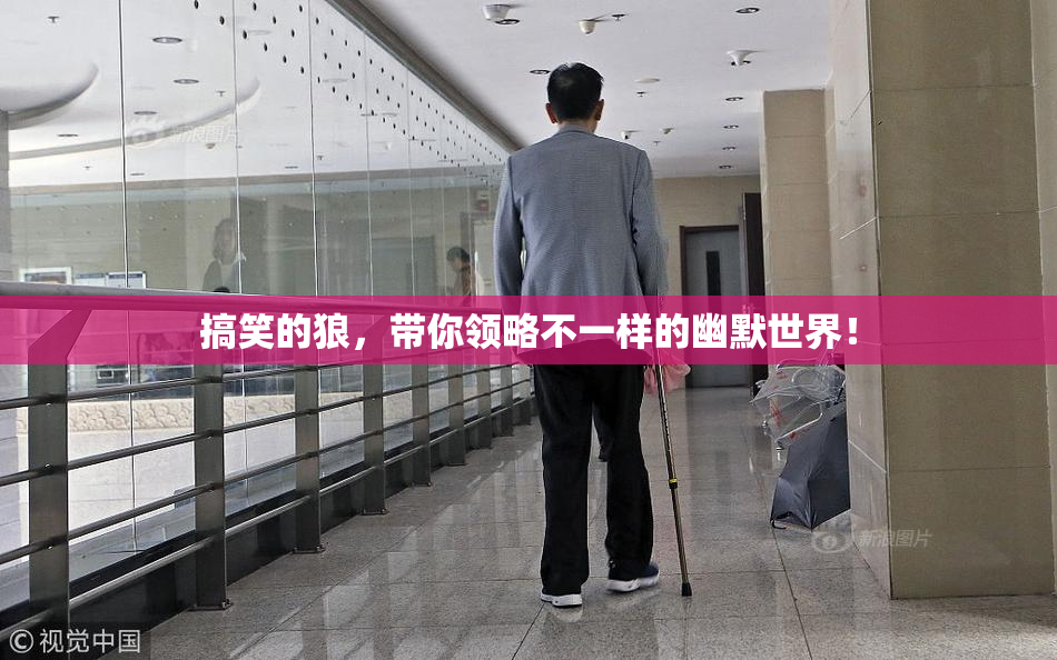 搞笑的狼，带你领略不一样的幽默世界！