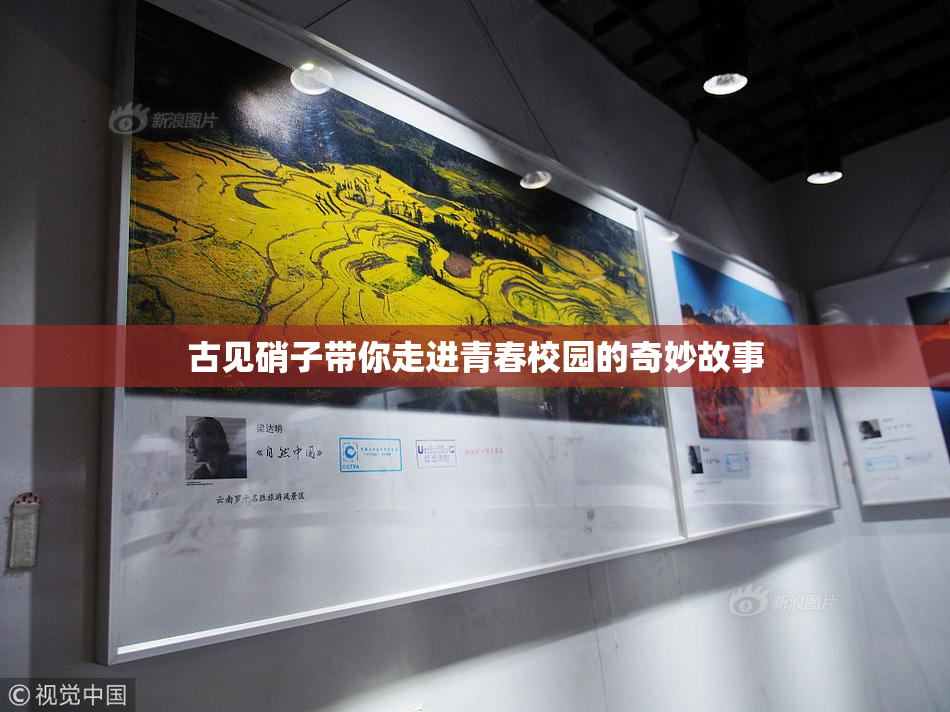 古见硝子带你走进青春校园的奇妙故事
