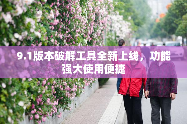 9.1版本破解工具全新上线，功能强大使用便捷