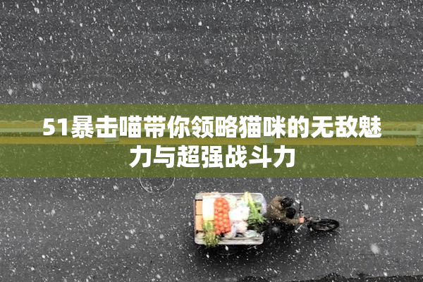 51暴击喵带你领略猫咪的无敌魅力与超强战斗力