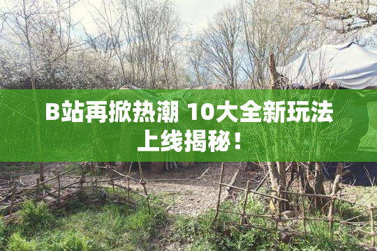B站再掀热潮 10大全新玩法上线揭秘！