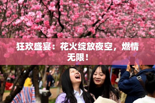 狂欢盛宴：花火绽放夜空，燃情无限！