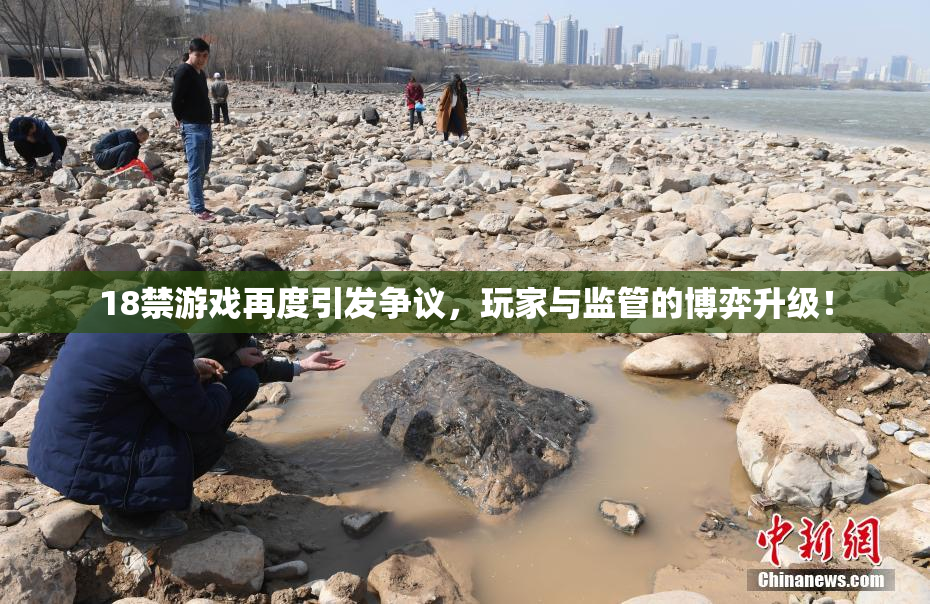 18禁游戏再度引发争议，玩家与监管的博弈升级！