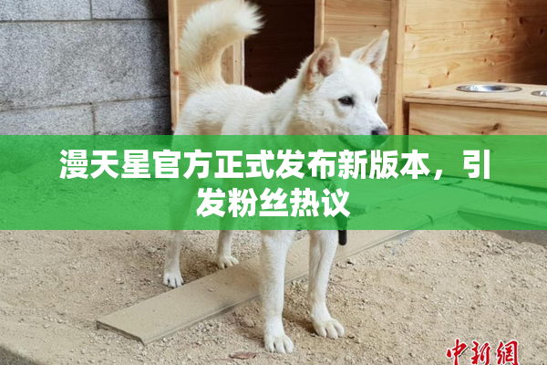 漫天星官方正式发布新版本，引发粉丝热议