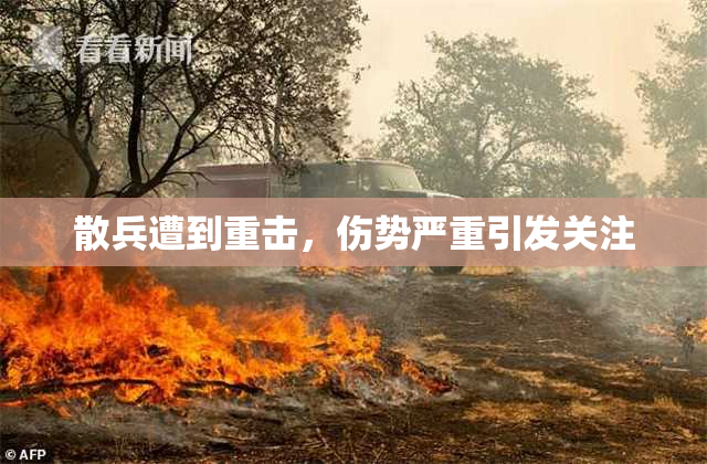 散兵遭到重击，伤势严重引发关注