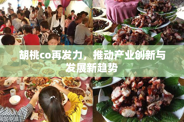 胡桃co再发力，推动产业创新与发展新趋势