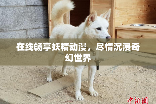 在线畅享妖精动漫，尽情沉浸奇幻世界