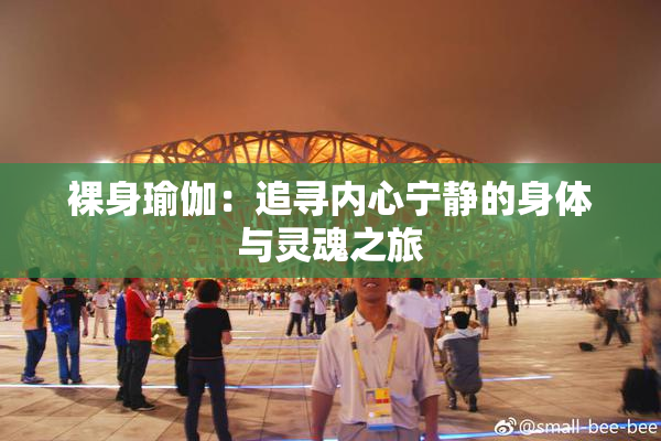 裸身瑜伽：追寻内心宁静的身体与灵魂之旅
