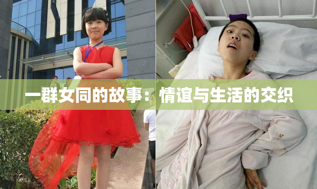 一群女同的故事：情谊与生活的交织