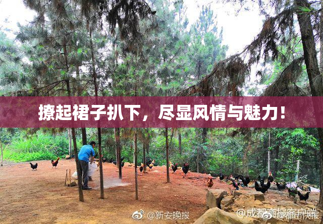 撩起裙子扒下，尽显风情与魅力！
