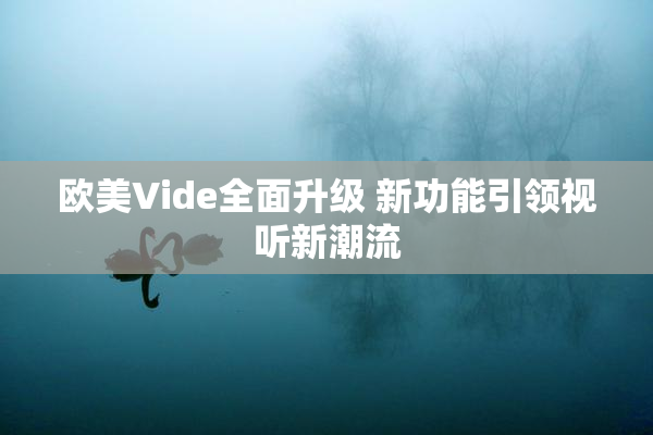 欧美Vide全面升级 新功能引领视听新潮流
