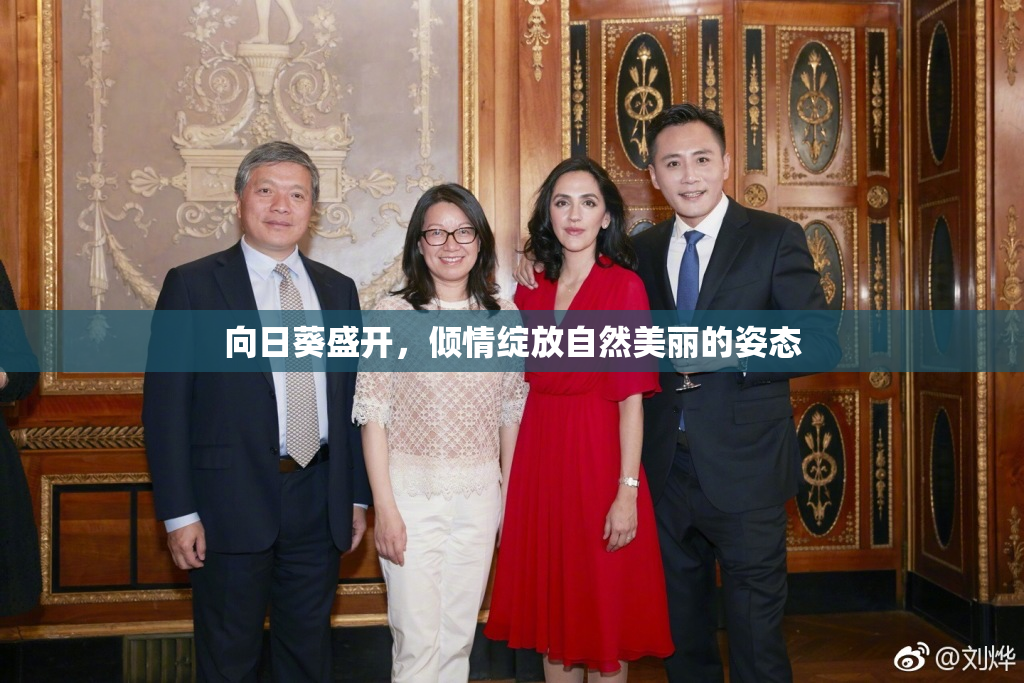 向日葵盛开，倾情绽放自然美丽的姿态