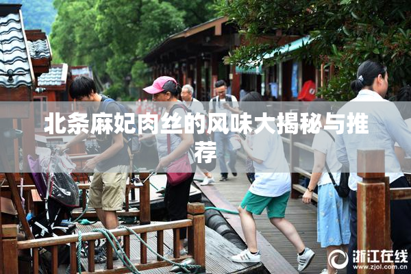 北条麻妃肉丝的风味大揭秘与推荐