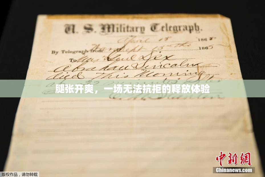 腿张开爽，一场无法抗拒的释放体验