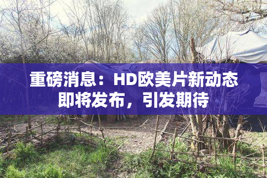 重磅消息：HD欧美片新动态即将发布，引发期待