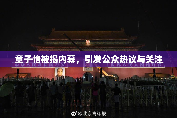 章子怡被揭内幕，引发公众热议与关注