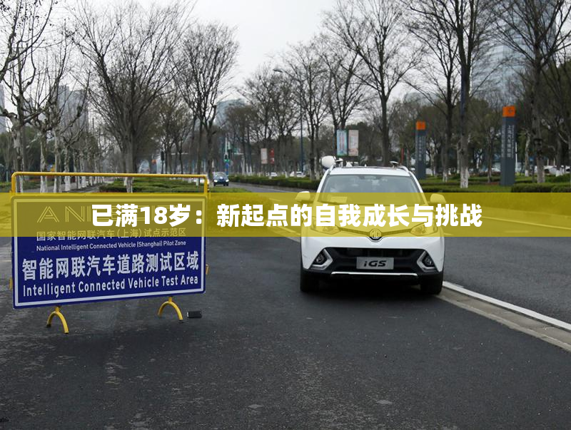 已满18岁：新起点的自我成长与挑战
