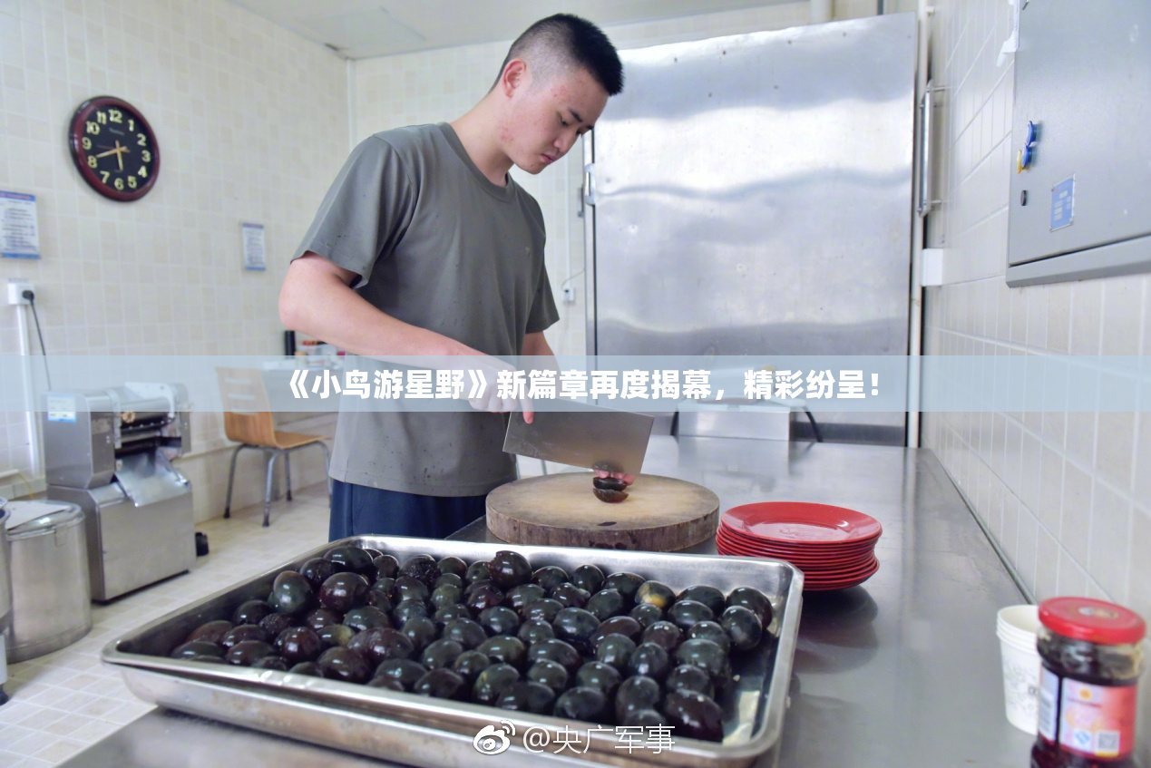 《小鸟游星野》新篇章再度揭幕，精彩纷呈！