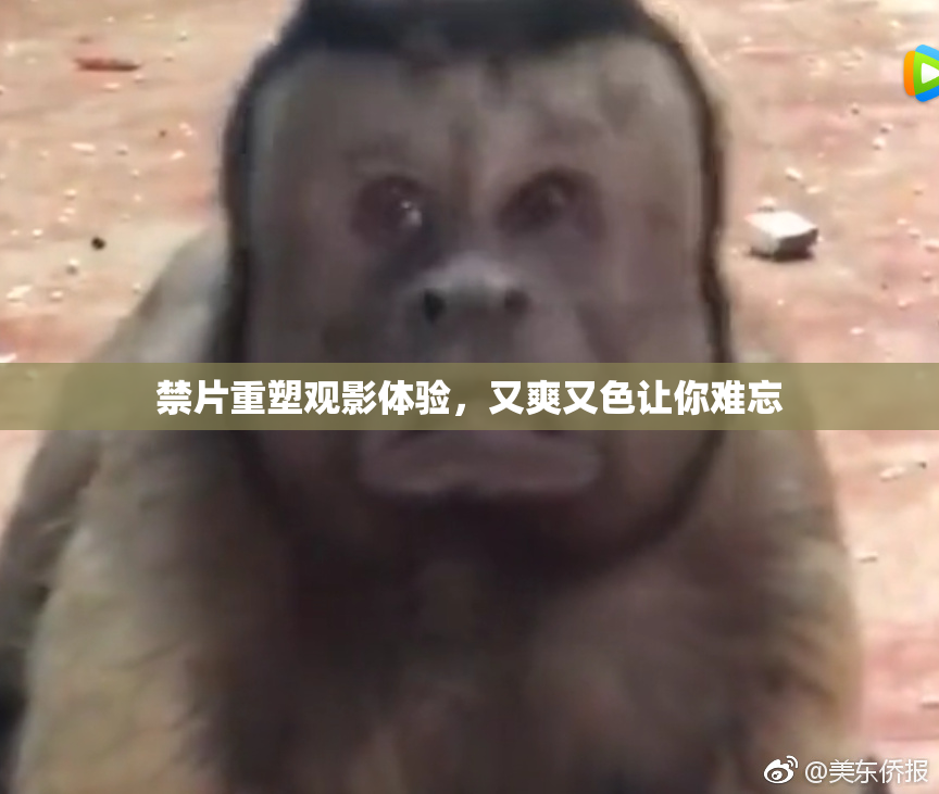 禁片重塑观影体验，又爽又色让你难忘