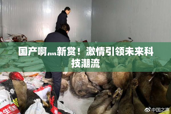 国产啊灬新赏！激情引领未来科技潮流