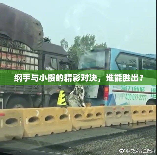 纲手与小樱的精彩对决，谁能胜出？