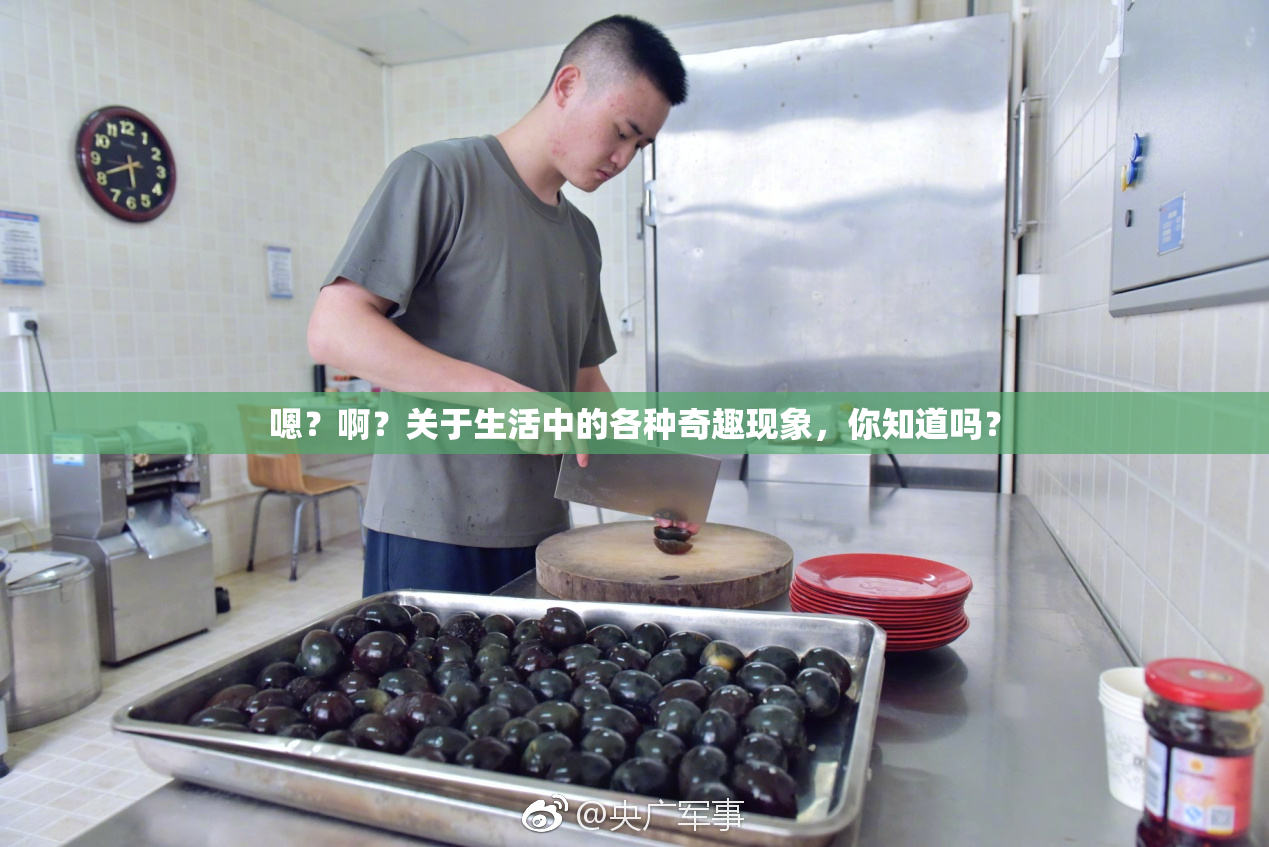 嗯？啊？关于生活中的各种奇趣现象，你知道吗？