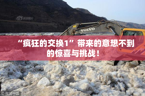 “疯狂的交换1”带来的意想不到的惊喜与挑战！