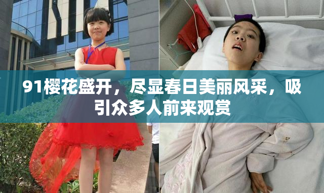 91樱花盛开，尽显春日美丽风采，吸引众多人前来观赏