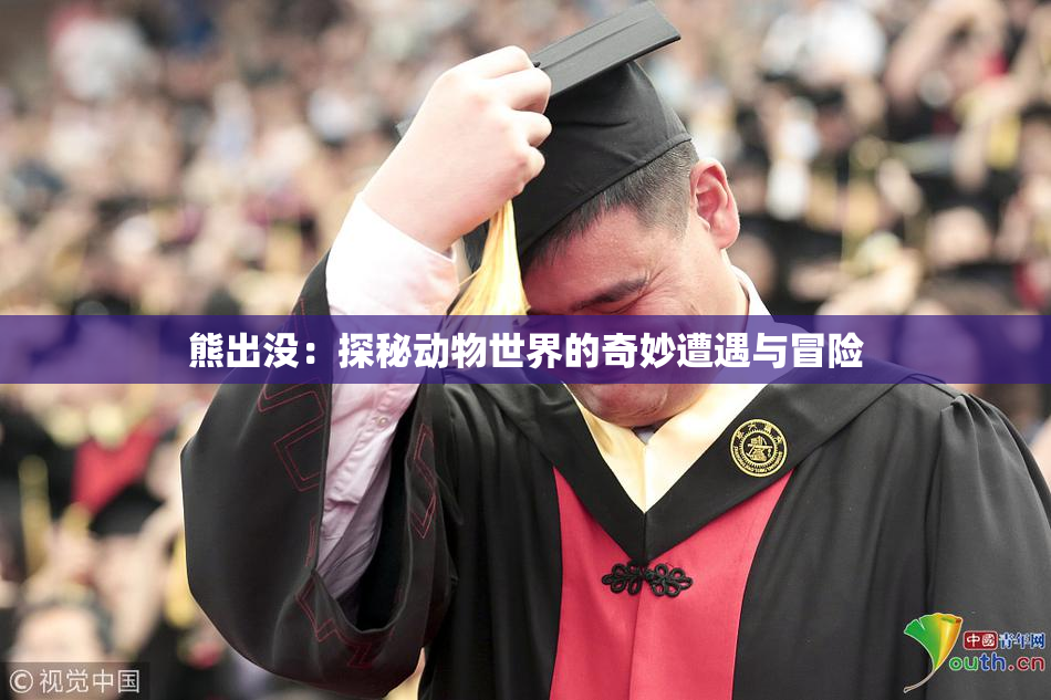 熊出没：探秘动物世界的奇妙遭遇与冒险