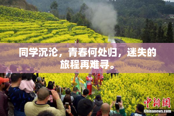 同学沉沦，青春何处归，迷失的旅程再难寻。