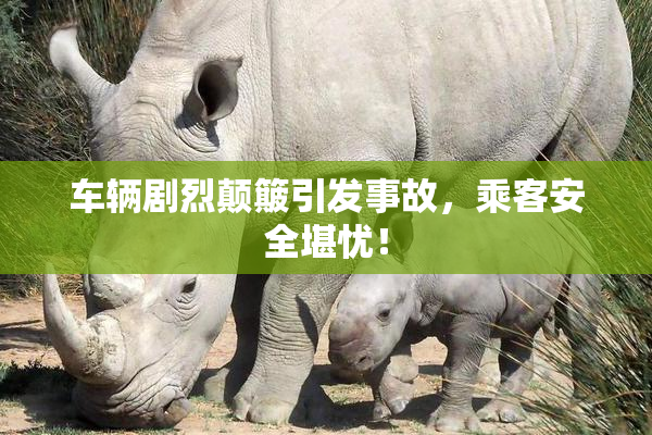 车辆剧烈颠簸引发事故，乘客安全堪忧！