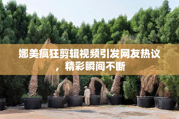 娜美疯狂剪辑视频引发网友热议，精彩瞬间不断