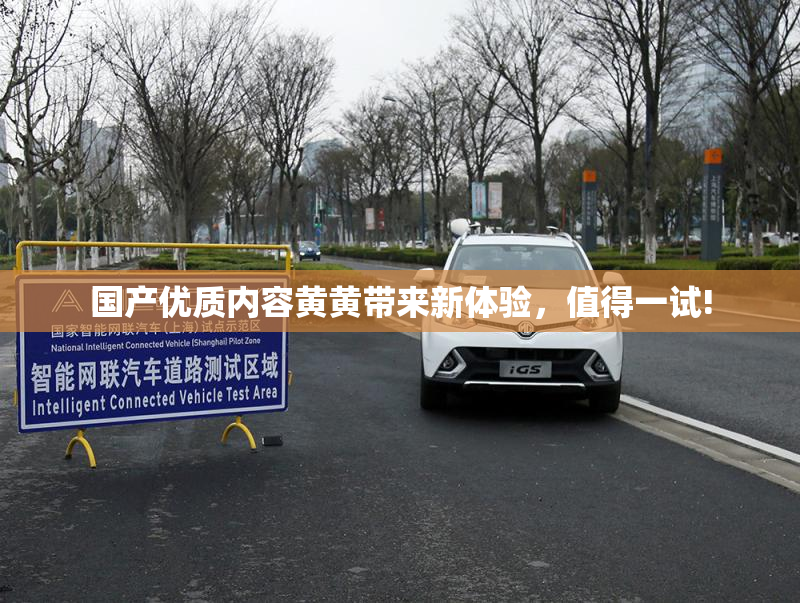 国产优质内容黄黄带来新体验，值得一试!