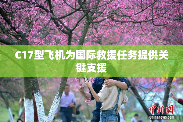 C17型飞机为国际救援任务提供关键支援