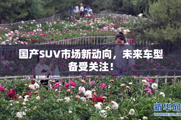 国产SUV市场新动向，未来车型备受关注！