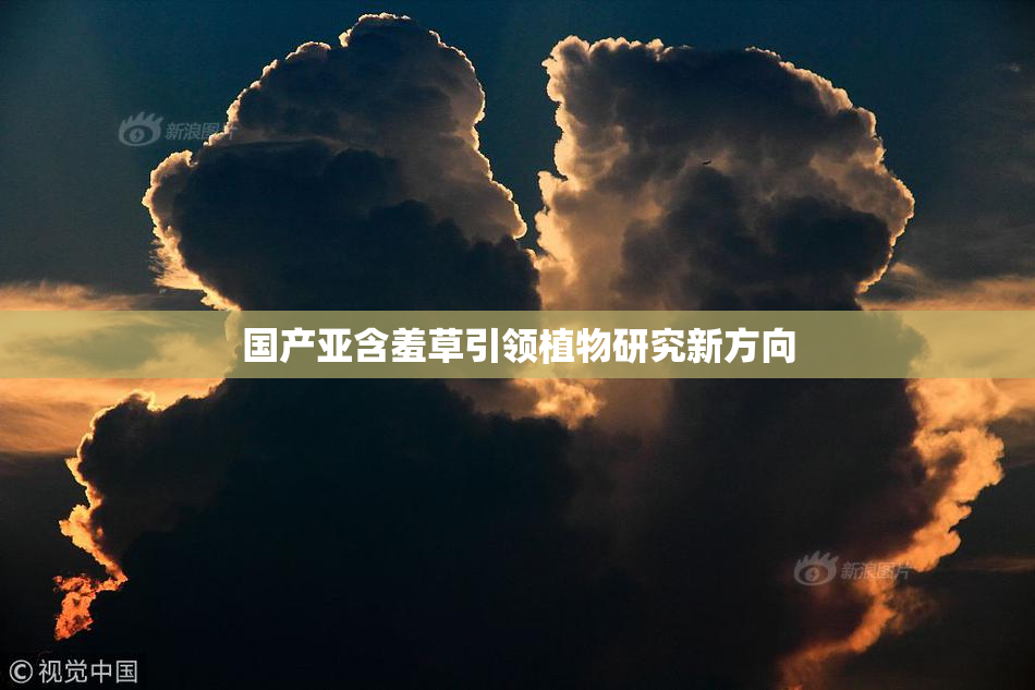 国产亚含羞草引领植物研究新方向