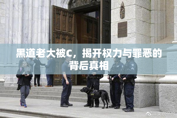 黑道老大被C，揭开权力与罪恶的背后真相